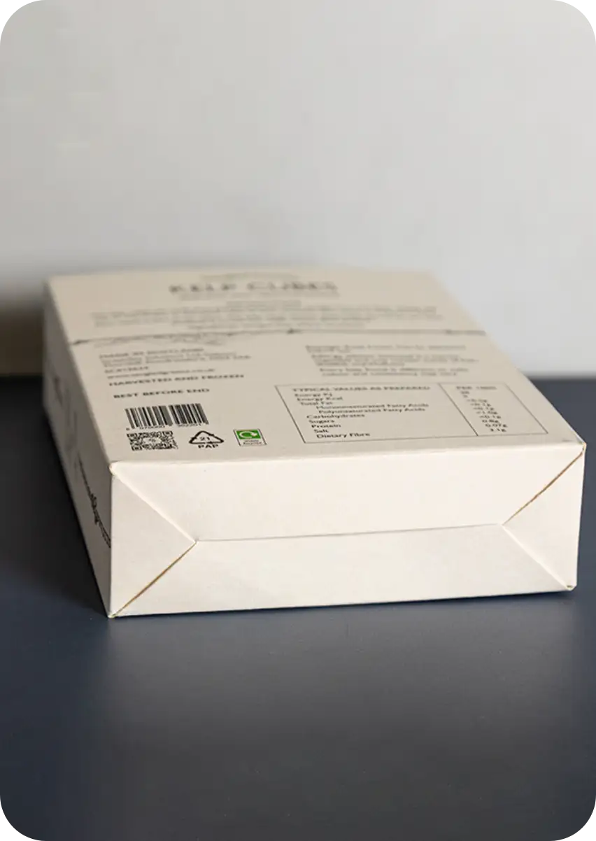 Auto Lock Bottom Boxes 3