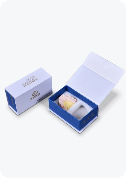 Dental Box with Insert 3