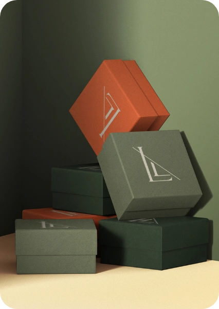 Luxury Clothing Packaging 2
