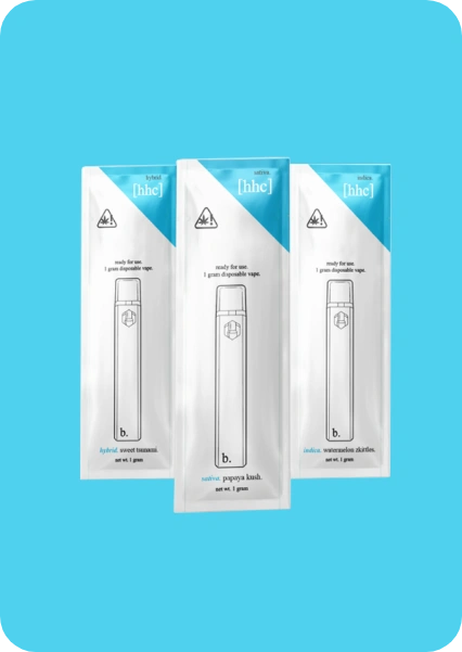 Custom Vape Pouches 4